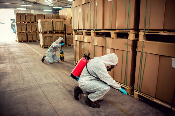 Best Best Pest Control Companies  in North Gates, NY