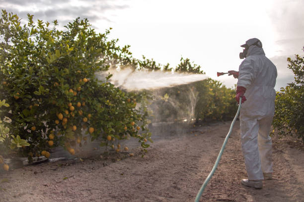 Wildlife Control Services in North Gates, NY