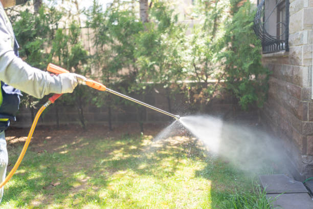 Insect Control in North Gates, NY