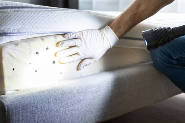 Best Pest Control Cost  in North Gates, NY