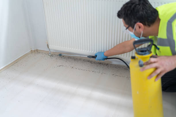 Best Wasp Removal Services  in North Gates, NY