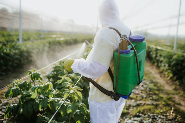 Best Flea Control Services  in North Gates, NY